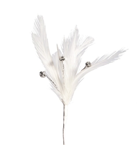 Feathers